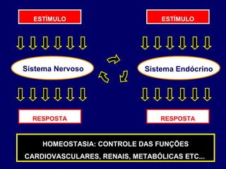 ESTÍMULO

Sistema Nervoso

RESPOSTA

ESTÍMULO

Sistema Endócrino

RESPOSTA

HOMEOSTASIA: CONTROLE DAS FUNÇÕES
CARDIOVASCULARES, RENAIS, METABÓLICAS ETC...

 