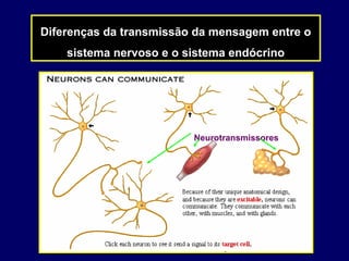 Diferenças da transmissão da mensagem entre o
sistema nervoso e o sistema endócrino

Neurotransmissores

 