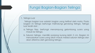 Fungsi Bagian-Bagian Telinga
1. Telinga Luar
Telinga bagian luar adalah bagian yang terlihat oleh mata. Pada
bagian ini telinga berfungsi melindungi gendang telinga. Telinga
luar terdiri dari :
a. Telinga flap, berfungsi menampung gelombang suara yang
masuk ke telinga.
b. Saluran telinga, memiliki panjang kurang lebih 2 cm. Bagian ini
menyalurkan suara yang akan masuk melalui saluran telinga dan
akan diterima oleh gendang telinga.
 