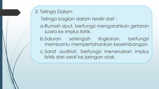 3. Telinga Dalam
Telinga bagian dalam terdiri dari :
a.Rumah siput, berfungsi mengarahkan getaran
suara ke implus listrik.
b.Saluran setengah lingkaran, berfungsi
membantu mempertahankan keseimbangan.
c.Sarat auditori, berfungsi meneruskan implus
listrik dari saraf ke jaringan otak.
 