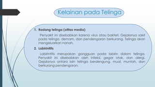 Kelainan pada Telinga
1. Radang telinga (otitas media)
Penyakit ini disebabkan karena virus atau bakteri. Gejalanya sakit
pada telinga, demam, dan pendengaran berkurang. Telinga akan
mengeluarkan nanah.
2. Labirintitis
Labirintitis merupakan gangguan pada labirin dalam telinga.
Penyakit ini disebabkan oleh infeksi, gegar otak, dan alergi.
Gejalanya antara lain telinga berdengung, mual, muntah, dan
berkurang pendengaran.
 