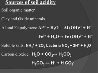 Sources of soil acidity
Soil organic matter.
Clay and Oxide minerals.
Al and Fe polymers: Al3+ + H2O→ Al (OH)2+ + H+
Fe3+ + H2O→ Fe (OH)2+ + H+
Soluble salts: NH4
+ + 2O2 bacteria NO3
-+ 2H+ + H2O
Carbon dioxide: H2O + CO2↔ H2CO3
H2CO3 ↔ H+ + H CO3
-
 