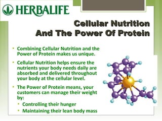 CCeelllluullaarr NNuuttrriittiioonn 
AAnndd TThhee PPoowweerr OOff PPrrootteeiinn 
 Combining Cellular Nutrition and the 
Power of Protein makes us unique. 
 Cellular Nutrition helps ensure the 
nutrients your body needs daily are 
absorbed and delivered throughout 
your body at the cellular level. 
 The Power of Protein means, your 
customers can manage their weight 
by: 
 Controlling their hunger 
 Maintaining their lean body mass 
 