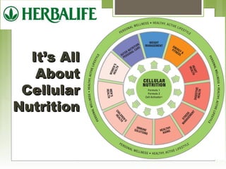 IItt’’ss AAllll 
AAbboouutt 
CCeelllluullaarr 
NNuuttrriittiioonn 
 
