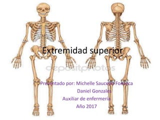 Extremidad superior
Presentado por: Michelle Saucedo Fonseca
Daniel Gonzales
Auxiliar de enfermería
Año 2017
 