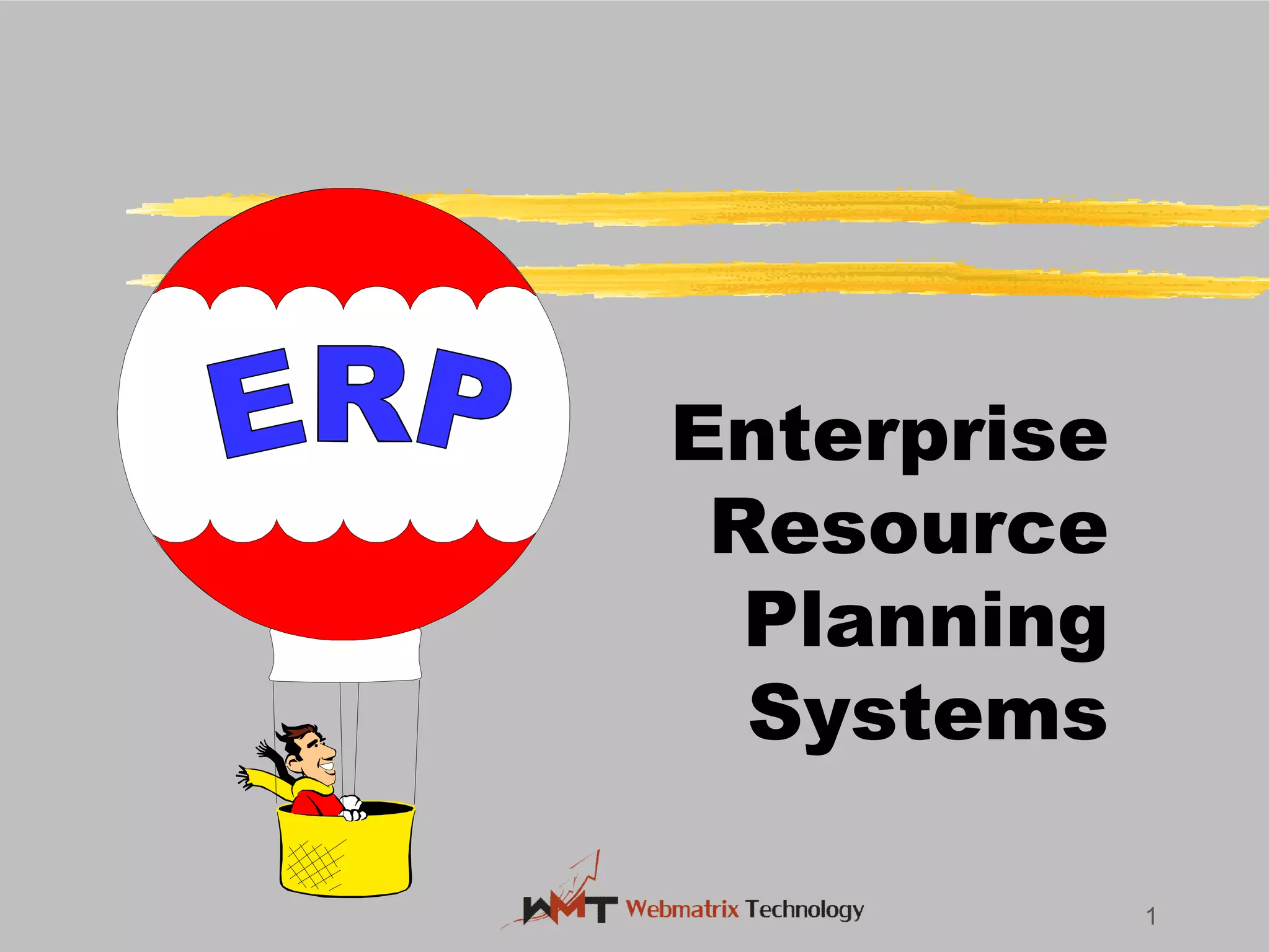 1
Enterprise
Resource
Planning
Systems
 