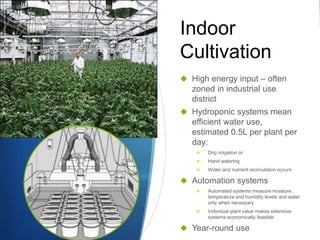 Indoor
Cultivation
 High energy input – often
zoned in industrial use
district
 Hydroponic systems mean
efficient water use,
estimated 0.5L per plant per
day:
 Drip irrigation or
 Hand watering
 Water and nutrient recirculation occurs
 Automation systems
 Automated systems measure moisture,
temperature and humidity levels and water
only when necessary
 Individual plant value makes extensive
systems economically feasible
 Year-round use
 