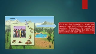 Considers the integrity of ecological
systems – not just individual animals (or
species). Recognizes the need to
preserve not just entities, but also their
relationships with each other.
 