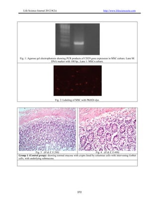 http://www.lifesciencesite.com)2s(9;2201Life Science Journal
372
Fig. 1: Agarose gel electrophoresis showing PCR products ...