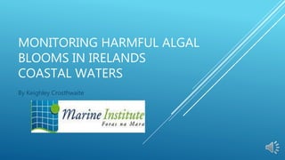 MONITORING HARMFUL ALGAL
BLOOMS IN IRELANDS
COASTAL WATERS
By Keighley Crosthwaite
 