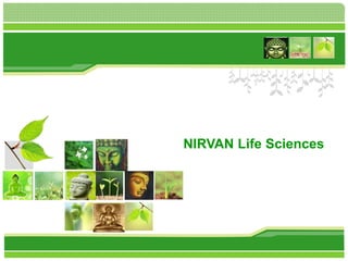 NIRVAN Life Sciences
 