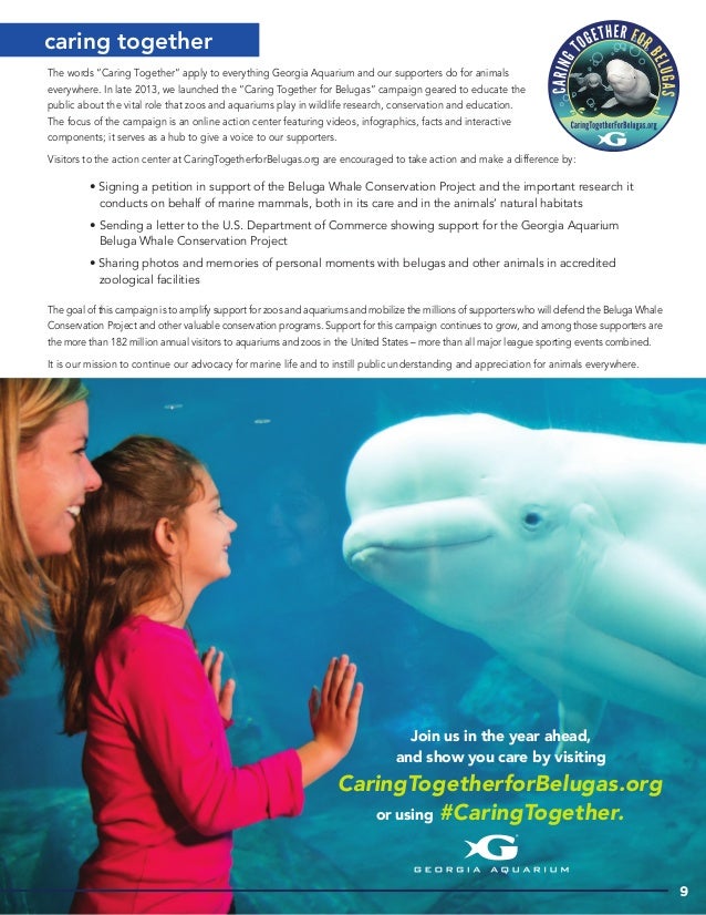 Georgia aquarium essay picture