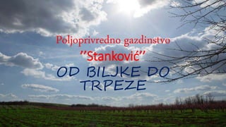 Poljoprivredno gazdinstvo
’’Stanković’’
OD BILJKE DO
TRPEZE
 