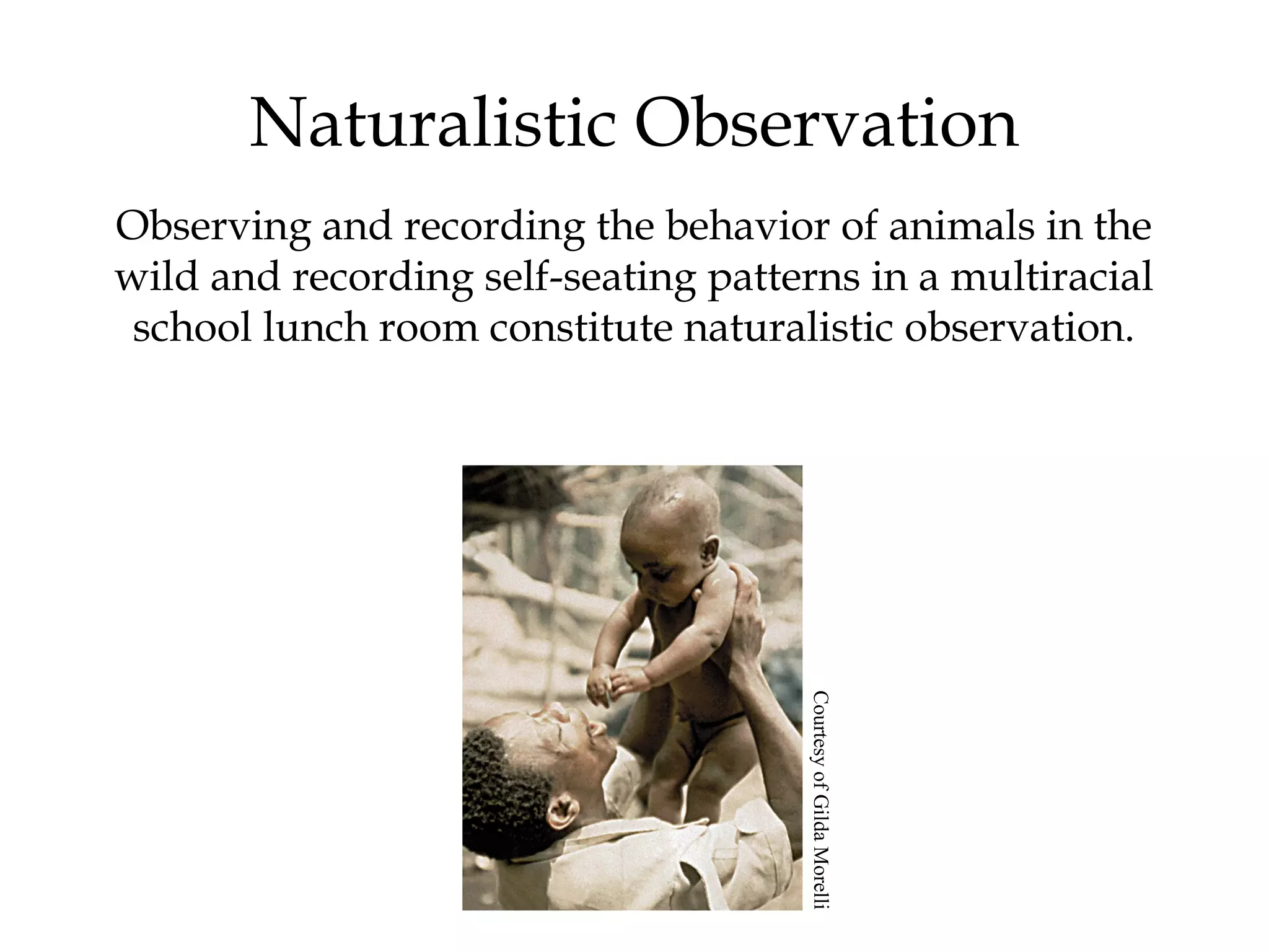 Naturalistic Observation
Observing and recording the behavior of animals in the
wild and recording self-seating patterns in a multiracial
school lunch room constitute naturalistic observation.
CourtesyofGildaMorelli
 