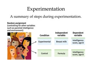 Experimentation
A summary of steps during experimentation.
 