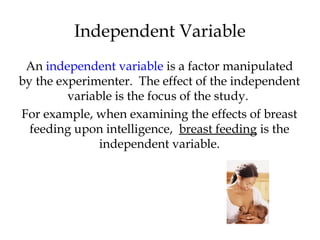 Independent Variable 
An independent variable is a factor manipulated 
by the experimenter. The effect of the independent 
variable is the focus of the study. 
For example, when examining the effects of breast 
feeding upon intelligence, breast feeding is the 
independent variable. 
 