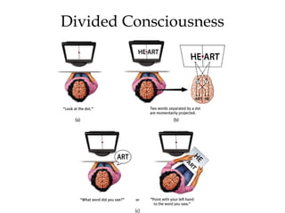 Divided Consciousness
 