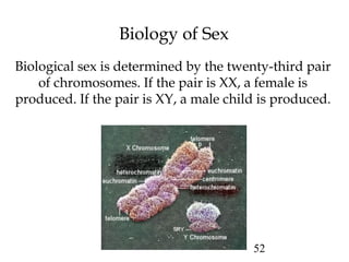 52 
Biology of Sex 
Biological sex is determined by the twenty-third pair 
of chromosomes. If the pair is XX, a female is ...