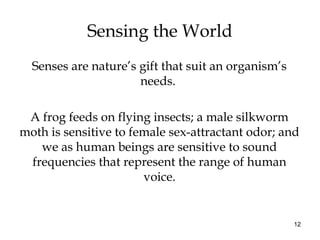 12
Sensing the World
Senses are nature’s gift that suit an organism’s
needs.
A frog feeds on flying insects; a male silkworm
moth is sensitive to female sex-attractant odor; and
we as human beings are sensitive to sound
frequencies that represent the range of human
voice.
 