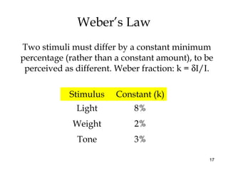 17
Weber’s Law
Two stimuli must differ by a constant minimum
percentage (rather than a constant amount), to be
perceived as different. Weber fraction: k = δI/I.
Stimulus Constant (k)
Light 8%
Weight 2%
Tone 3%
 
