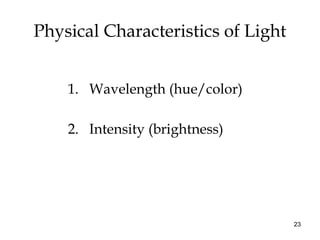 23
Physical Characteristics of Light
1. Wavelength (hue/color)
2. Intensity (brightness)
 