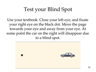 33
Test your Blind Spot
Use your textbook. Close your left eye, and fixate
your right eye on the black dot. Move the page
towards your eye and away from your eye. At
some point the car on the right will disappear due
to a blind spot.
 