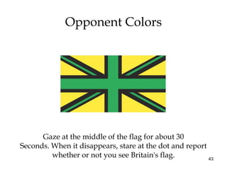 43
Opponent Colors
Gaze at the middle of the flag for about 30
Seconds. When it disappears, stare at the dot and report
whether or not you see Britain's flag.
 