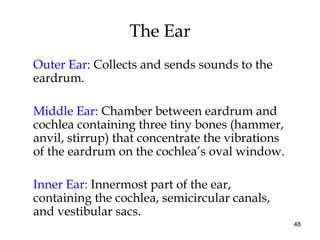 48
The Ear
Outer Ear: Collects and sends sounds to the
eardrum.
Middle Ear: Chamber between eardrum and
cochlea containing three tiny bones (hammer,
anvil, stirrup) that concentrate the vibrations
of the eardrum on the cochlea’s oval window.
Inner Ear: Innermost part of the ear,
containing the cochlea, semicircular canals,
and vestibular sacs.
 