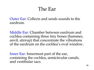48
The Ear
Outer Ear: Collects and sends sounds to the
eardrum.
Middle Ear: Chamber between eardrum and
cochlea containing...