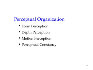 5
Perceptual Organization
 Form Perception
 Depth Perception
 Motion Perception
 Perceptual Constancy
 