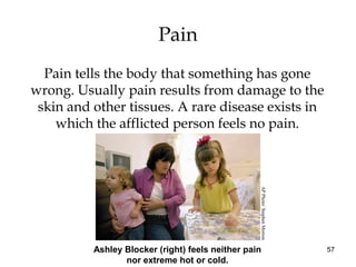 57
Pain
Pain tells the body that something has gone
wrong. Usually pain results from damage to the
skin and other tissues. A rare disease exists in
which the afflicted person feels no pain.
Ashley Blocker (right) feels neither pain
nor extreme hot or cold. APPhoto/StephenMorton
 