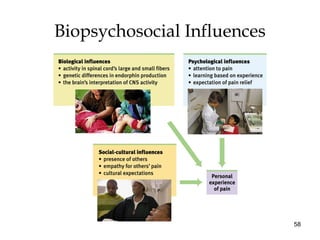 58
Biopsychosocial Influences
 