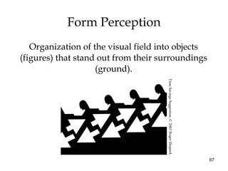 67
Organization of the visual field into objects
(figures) that stand out from their surroundings
(ground).
Form Perception
TimeSavingsSuggestion,©2003RogerSheperd.
 