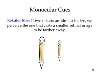 72
Monocular Cues
Relative Size: If two objects are similar in size, we
perceive the one that casts a smaller retinal image
to be farther away.
 