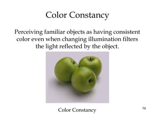 79
Perceiving familiar objects as having consistent
color even when changing illumination filters
the light reflected by the object.
Color Constancy
Color Constancy
 