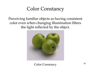 79
Perceiving familiar objects as having consistent
color even when changing illumination filters
the light reflected by t...