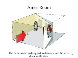 82
Ames Room
The Ames room is designed to demonstrate the size-
distance illusion.
 