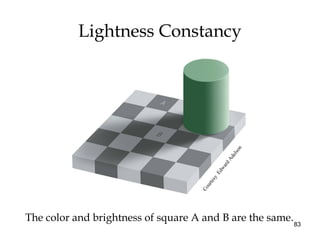 83
Lightness Constancy
The color and brightness of square A and B are the same.
Courtesy
EdwardAdelson
 