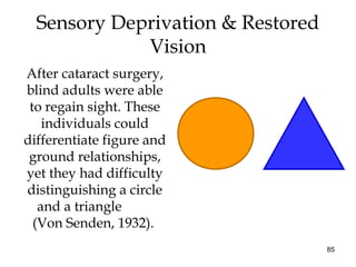85
Sensory Deprivation & Restored
Vision
After cataract surgery,
blind adults were able
to regain sight. These
individuals could
differentiate figure and
ground relationships,
yet they had difficulty
distinguishing a circle
and a triangle
(Von Senden, 1932).
 
