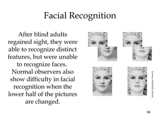 86
Facial Recognition
After blind adults
regained sight, they were
able to recognize distinct
features, but were unable
to recognize faces.
Normal observers also
show difficulty in facial
recognition when the
lower half of the pictures
are changed.
CourtesyofRichardLeGrand
 