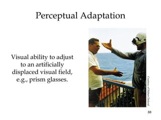 88
Perceptual Adaptation
Visual ability to adjust
to an artificially
displaced visual field,
e.g., prism glasses.
CourtesyofHubertDolezal
 