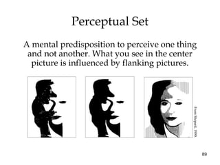 89
Perceptual Set
A mental predisposition to perceive one thing
and not another. What you see in the center
picture is inf...