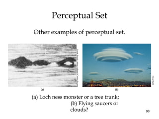 90
(a) Loch ness monster or a tree trunk;
(b) Flying saucers or
clouds?
Perceptual Set
Other examples of perceptual set.
FrankSearle,photoAdams/Corbis-Sygma
DickRuhl
 