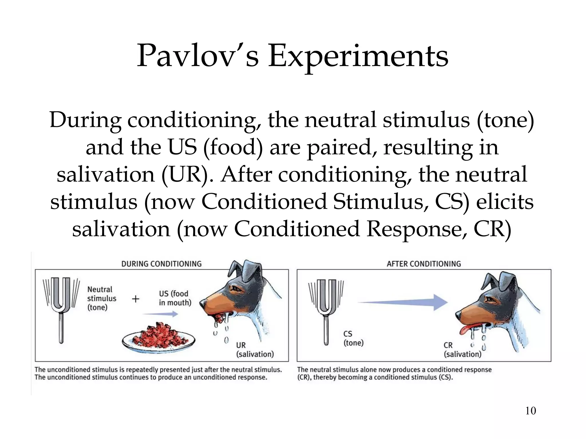 Pavlov’s Experiments
During conditioning, the neutral stimulus (tone)
    and the US (food) are paired, resulting in
 salivation (UR). After conditioning, the neutral
stimulus (now Conditioned Stimulus, CS) elicits
   salivation (now Conditioned Response, CR)




                                               10
 