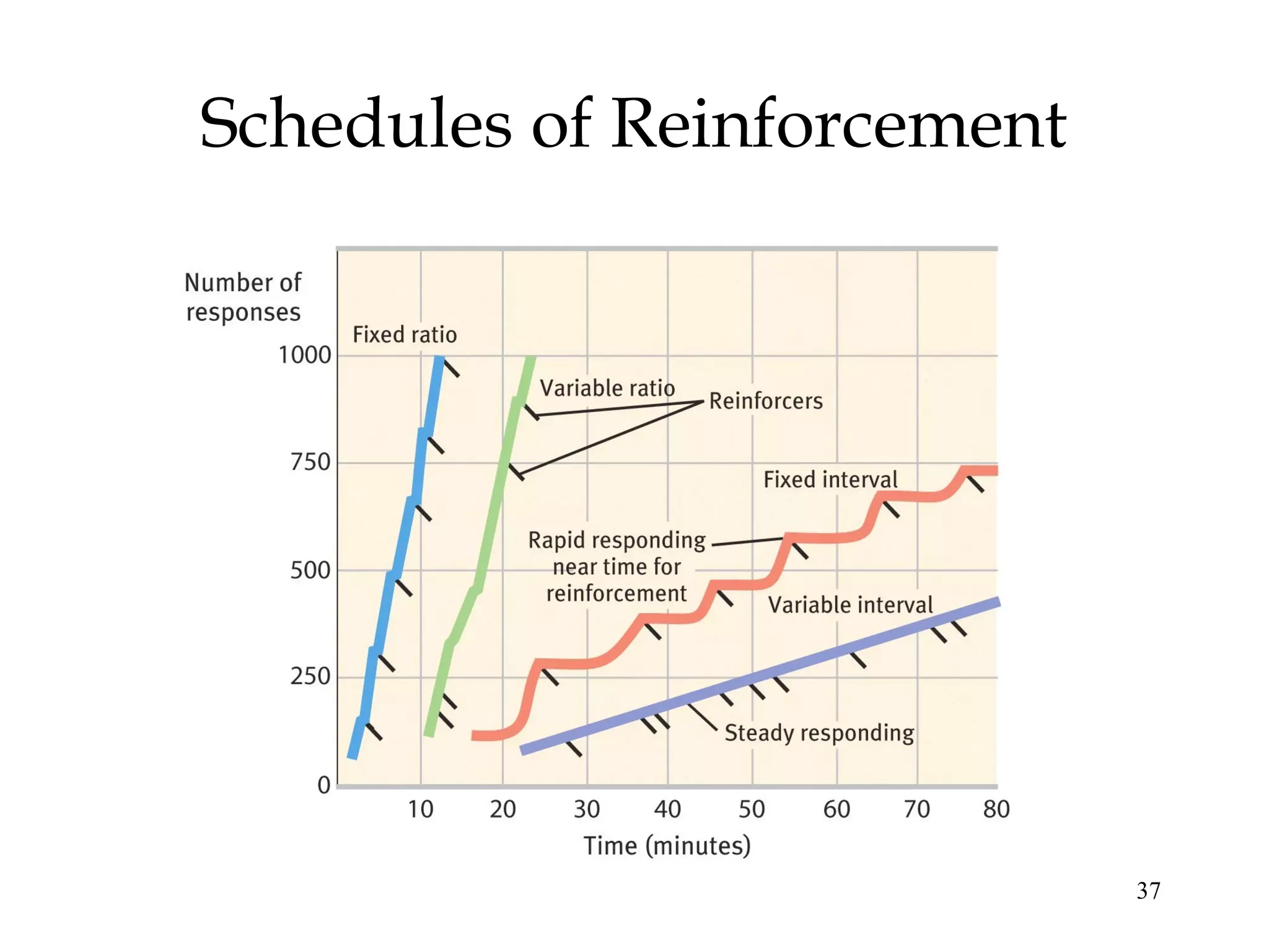 Schedules of Reinforcement




                             37
 