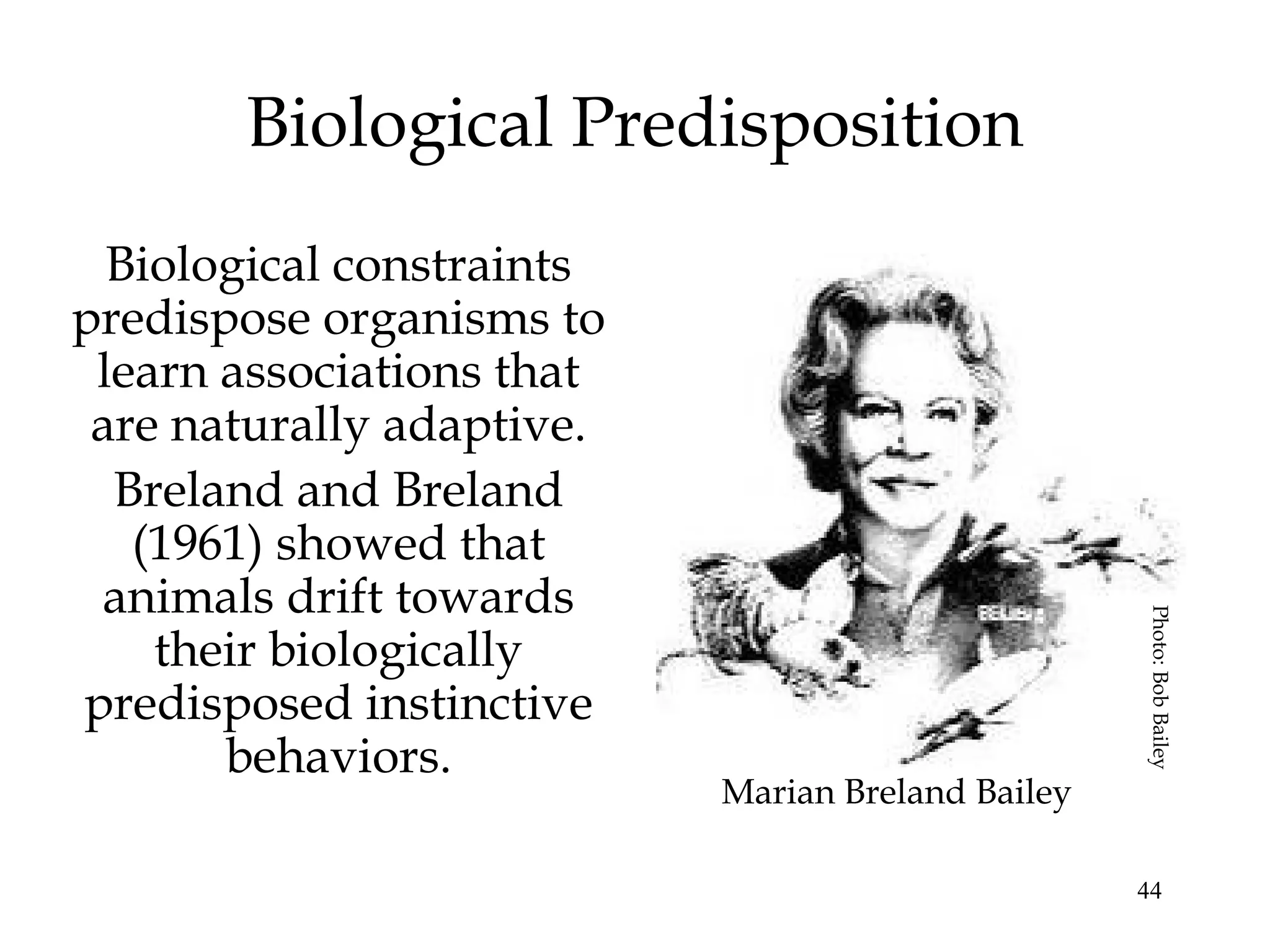 Biological Predisposition
  Biological constraints
predispose organisms to
 learn associations that
 are naturally adaptive.
  Breland and Breland
   (1961) showed that
 animals drift towards




                                                   Photo: Bob Bailey
    their biologically
predisposed instinctive
       behaviors.
                           Marian Breland Bailey

                                                   44
 