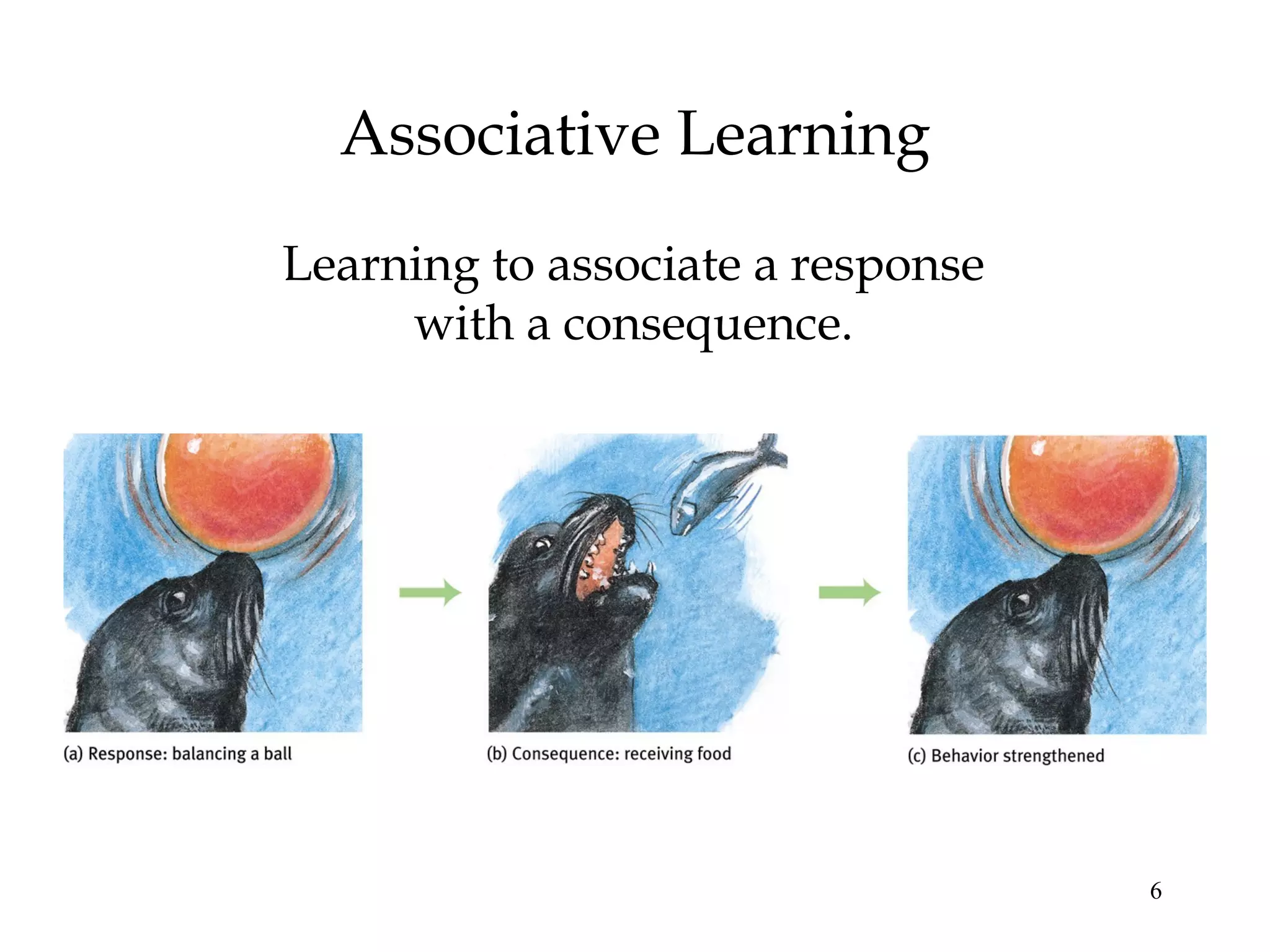 Associative Learning
Learning to associate a response
     with a consequence.




                                   6
 