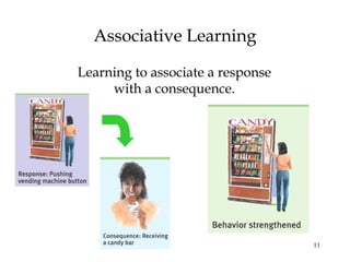 11 
Associative Learning 
Learning to associate a response 
with a consequence. 
 