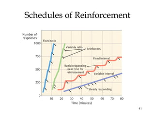 41 
Schedules of Reinforcement 
 