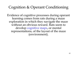 Cognition & Operant Conditioning 
Evidence of cognitive processes during operant 
45 
learning comes from rats during a maze 
exploration in which they navigate the maze 
without an obvious reward. Rats seem to 
develop cognitive maps, or mental 
representations, of the layout of the maze 
(environment). 
 